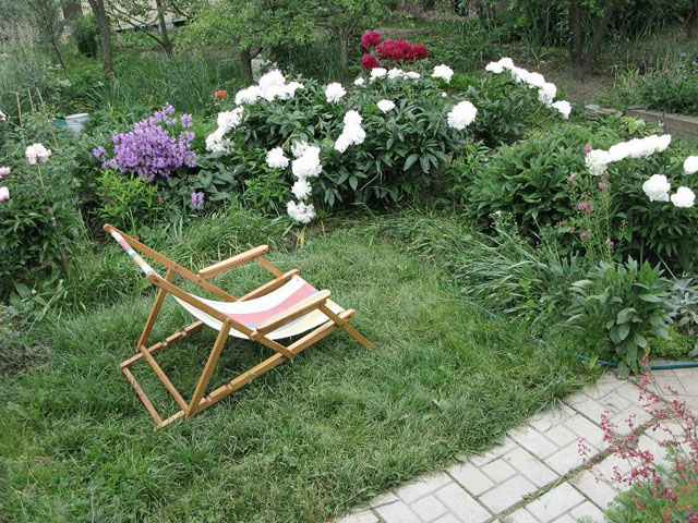 куплю дом Новорижское шоссе
